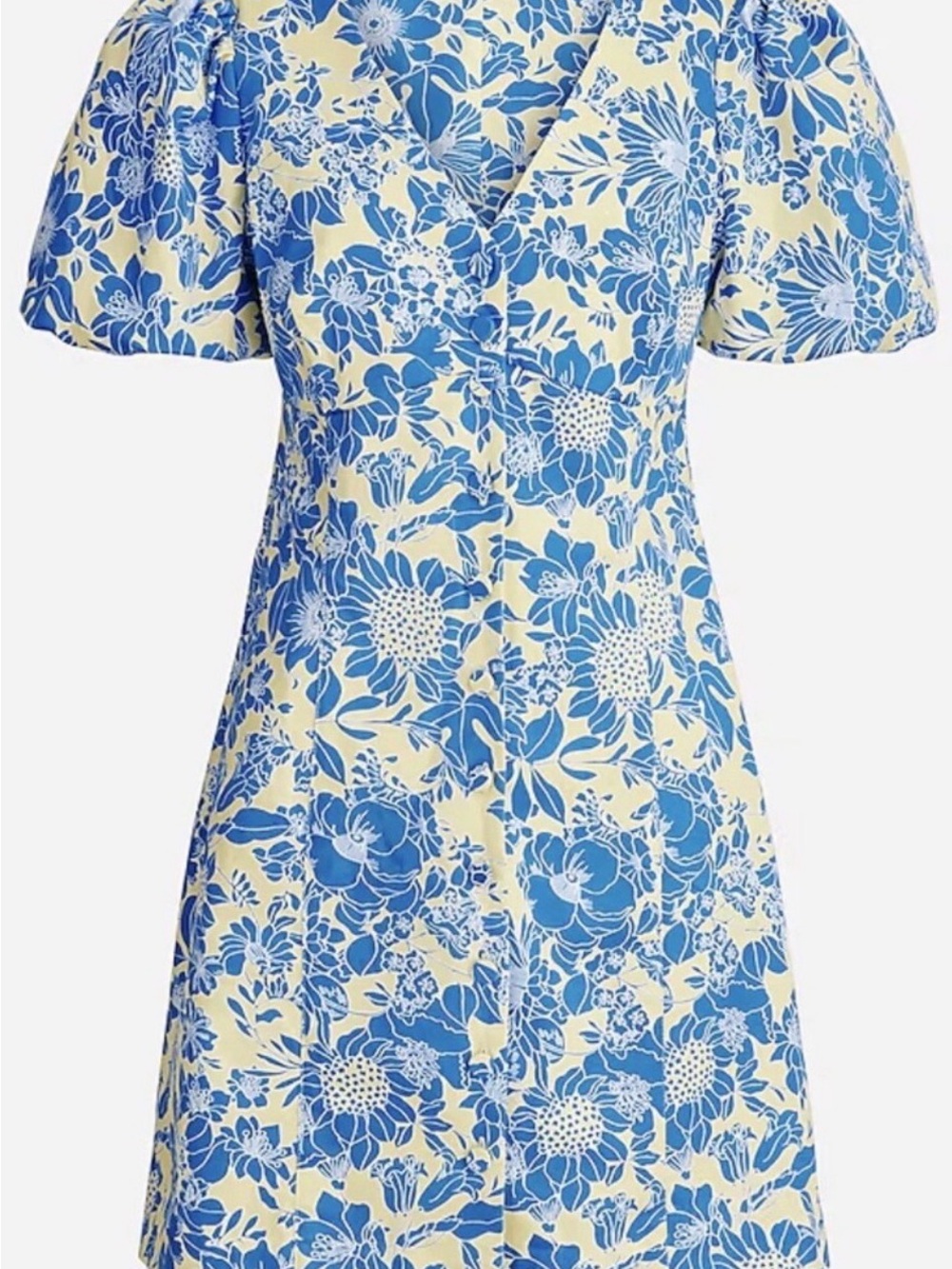 J. Crew Blue Floral V-Neck Mini Dress on Cream